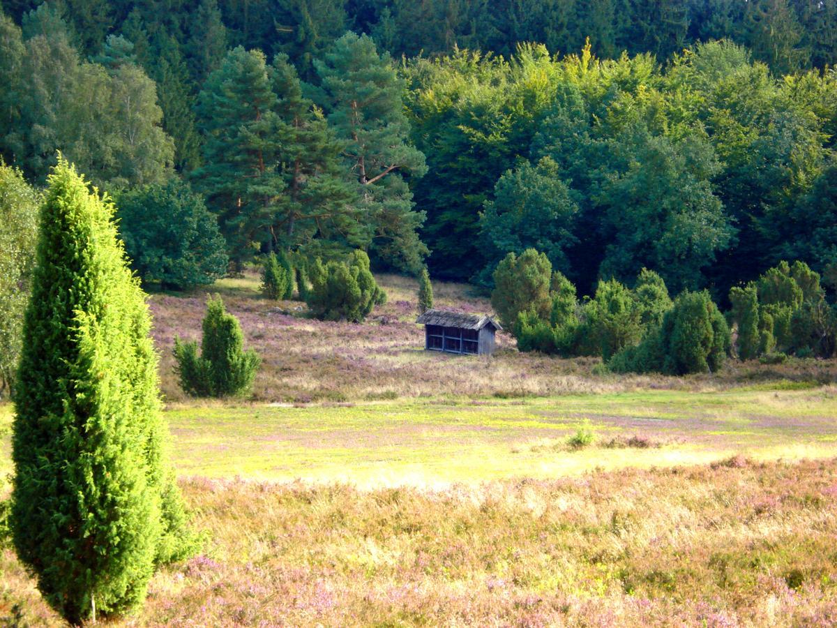 Landgasthaus Zum Naturschutzpark Bispingen Exterior foto