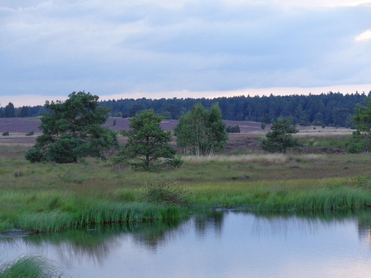 Landgasthaus Zum Naturschutzpark Bispingen Exterior foto